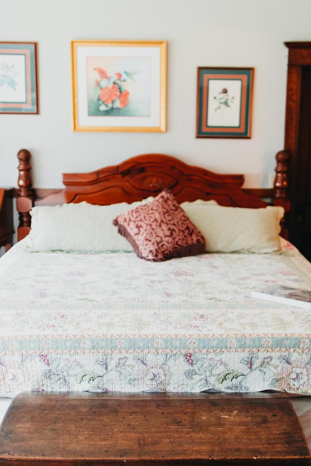 Friendly City Inn B&B Harrisonburg Exteriör bild